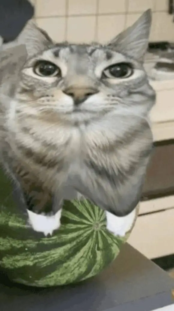 ai character: Cato_Sandia_XD  background