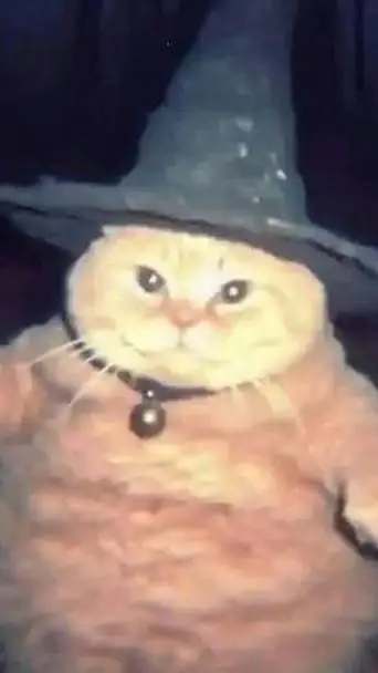 ai character: gato brujo🩷💞 background