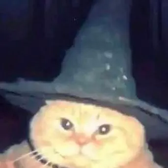 chat with ai character: gato brujo🩷💞