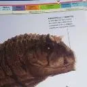 chat with ai character: Crea tu historia:3