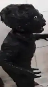 ai character: crea tu historia background