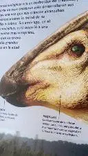 ai character: crea tu historia background