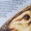 chat with ai character: crea tu historia