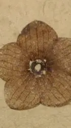 ai character: crea tu historia background