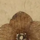 chat with ai character: crea tu historia