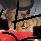 chat with ai character: The office 