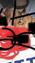 ai character: The office  background