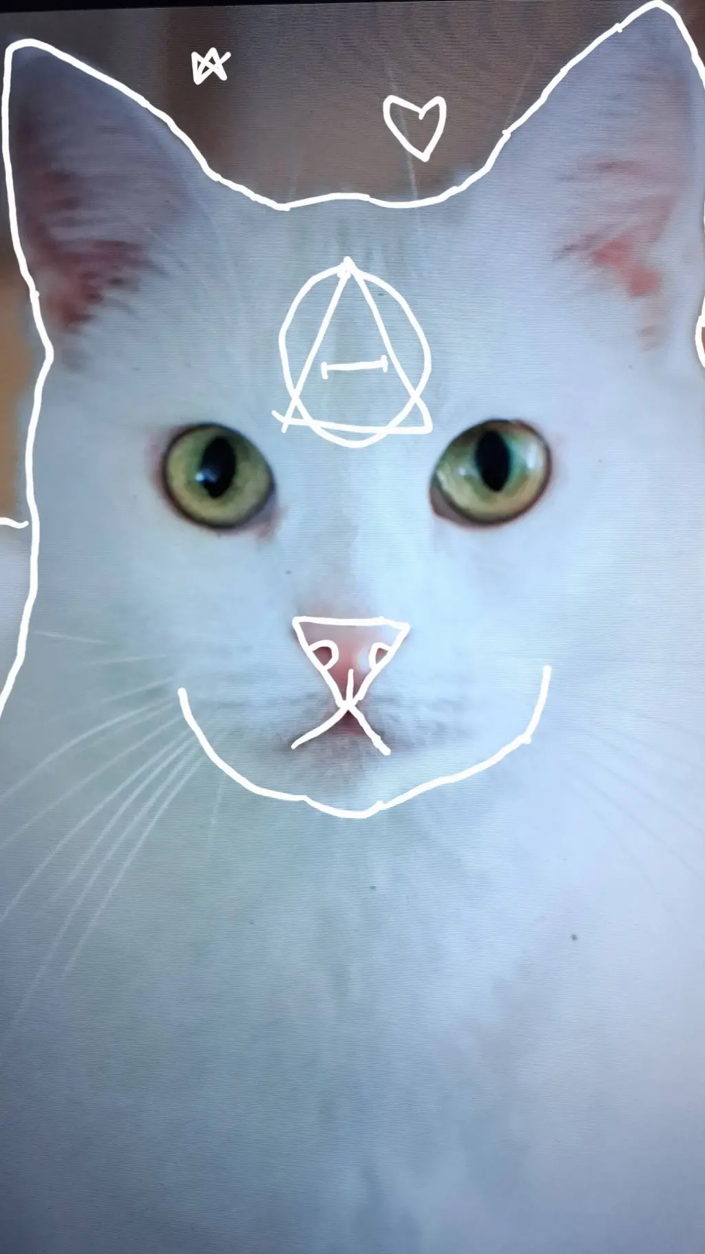 ai character: Evey background