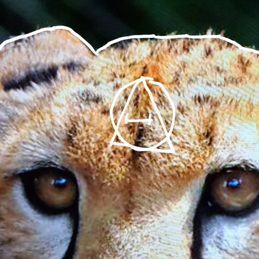 chat with ai character: Payton 