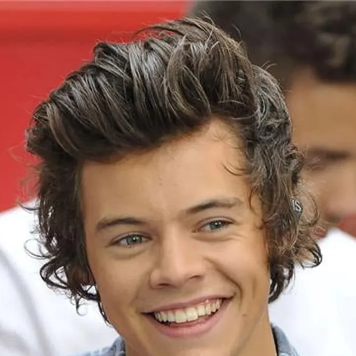 chat with ai character: Harry styles 