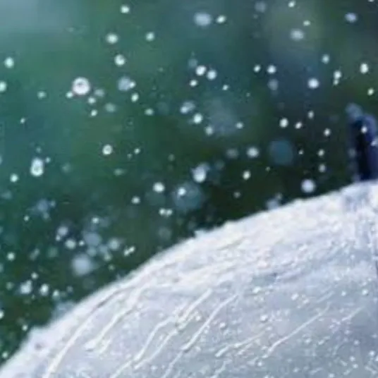 chat with ai character: Rain