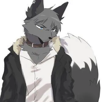 chat with ai character: grupo de lobos