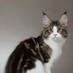 chat with ai character: Lucifer!