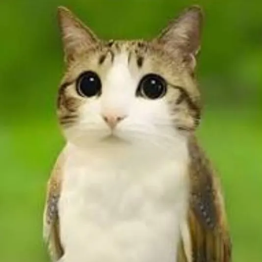 chat with ai character: meowl