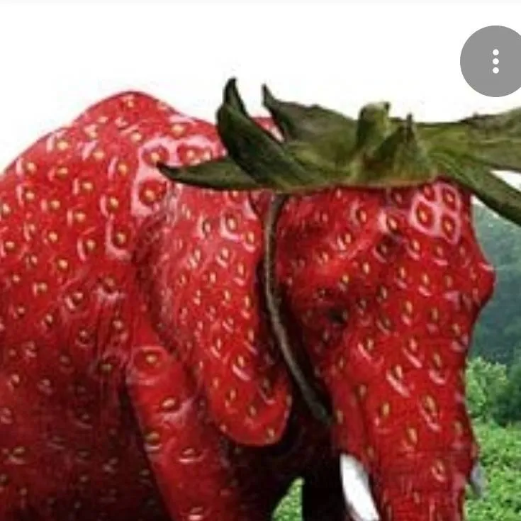 chat with ai character: Strawberryelaphant