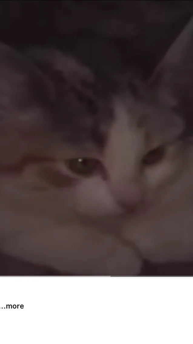 ai character: cat… background