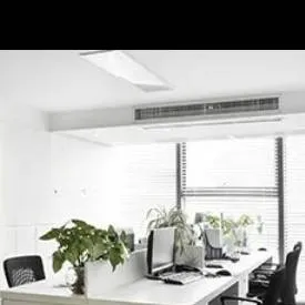 chat with ai character: офис мафи