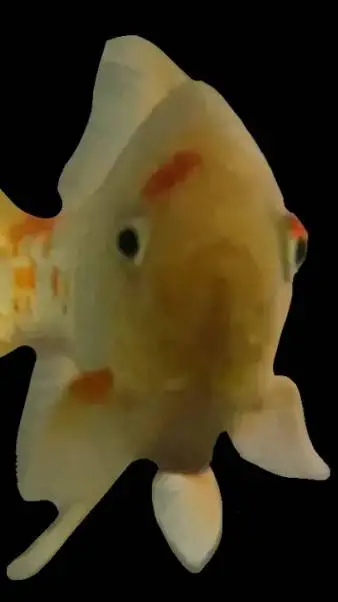 Talkie AI - Chat with Bob 🤑🤑🤑