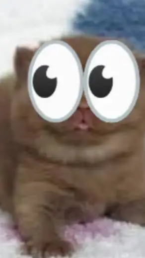 ai character: Nose xd background