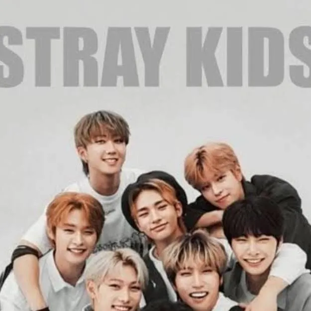 chat with ai character: ✨️skz  interview✨️