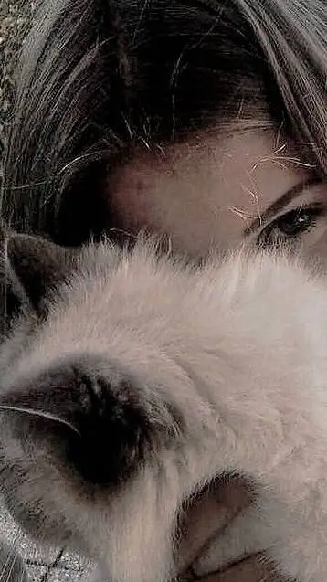 ai character: My OC's background