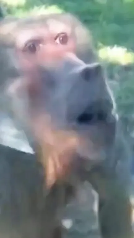 ai character: im sad background