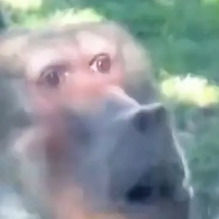 chat with ai character: im sad