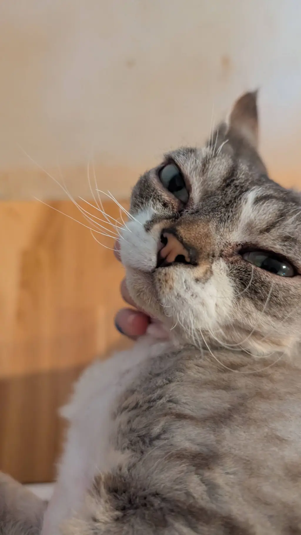 ai character: ipad kid background