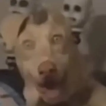 chat with ai character: skinwalker pet