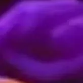 chat with ai character: Lily love braid? 