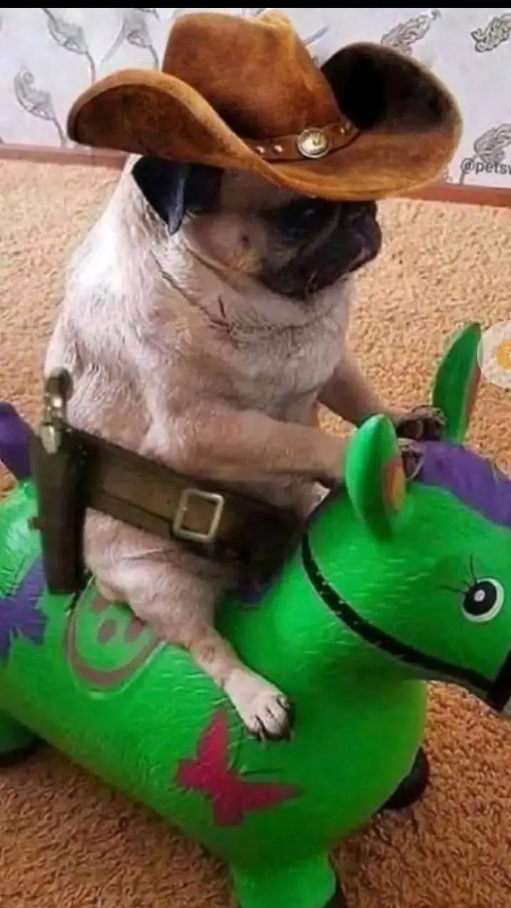 ai character: perrito vaquero  background