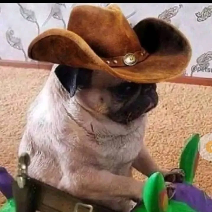 chat with ai character: perrito vaquero 
