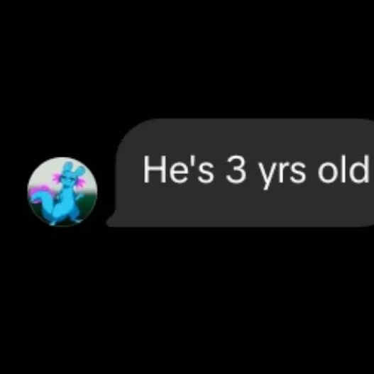 chat with ai character: Bird Boy