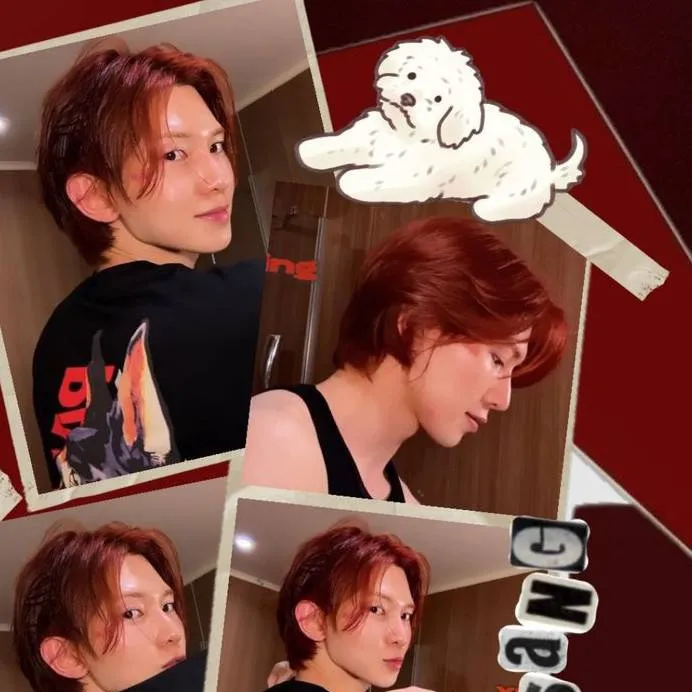 chat with ai character: Monster Girls