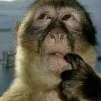 chat with ai character: Thinking monkey