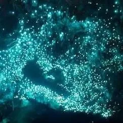 chat with ai character: Rodamrix 