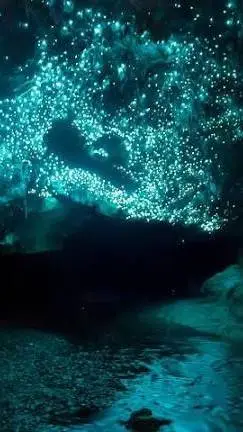 ai character: Rodamrix  background