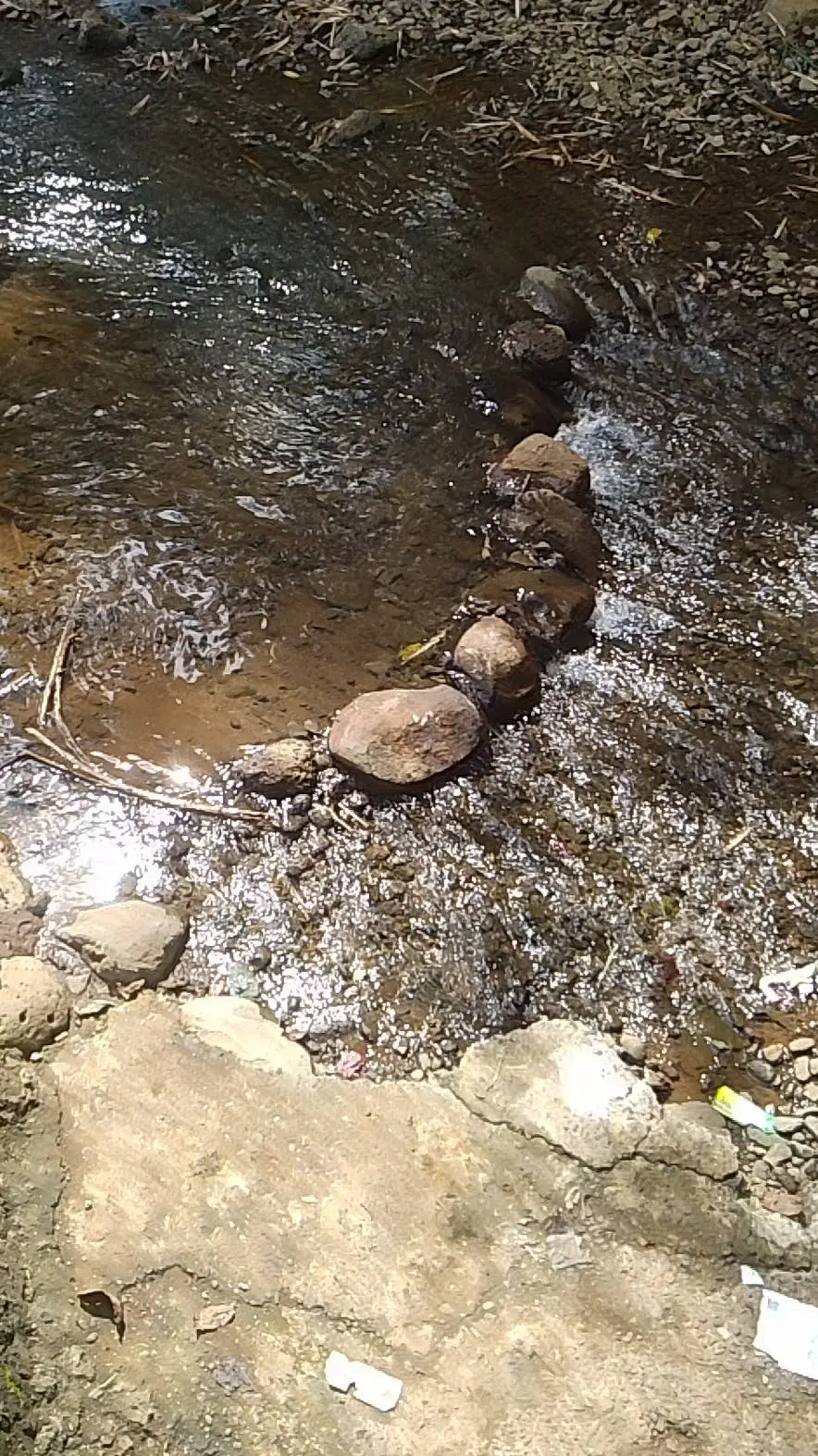 ai character: Random :) RODAMRIX background