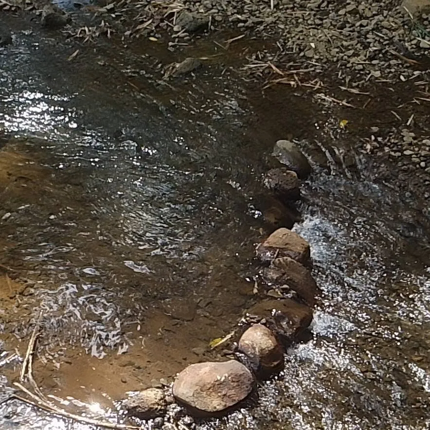 chat with ai character: Random :) RODAMRIX