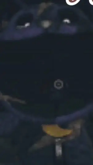 ai character: catnap background