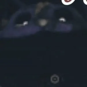 chat with ai character: catnap