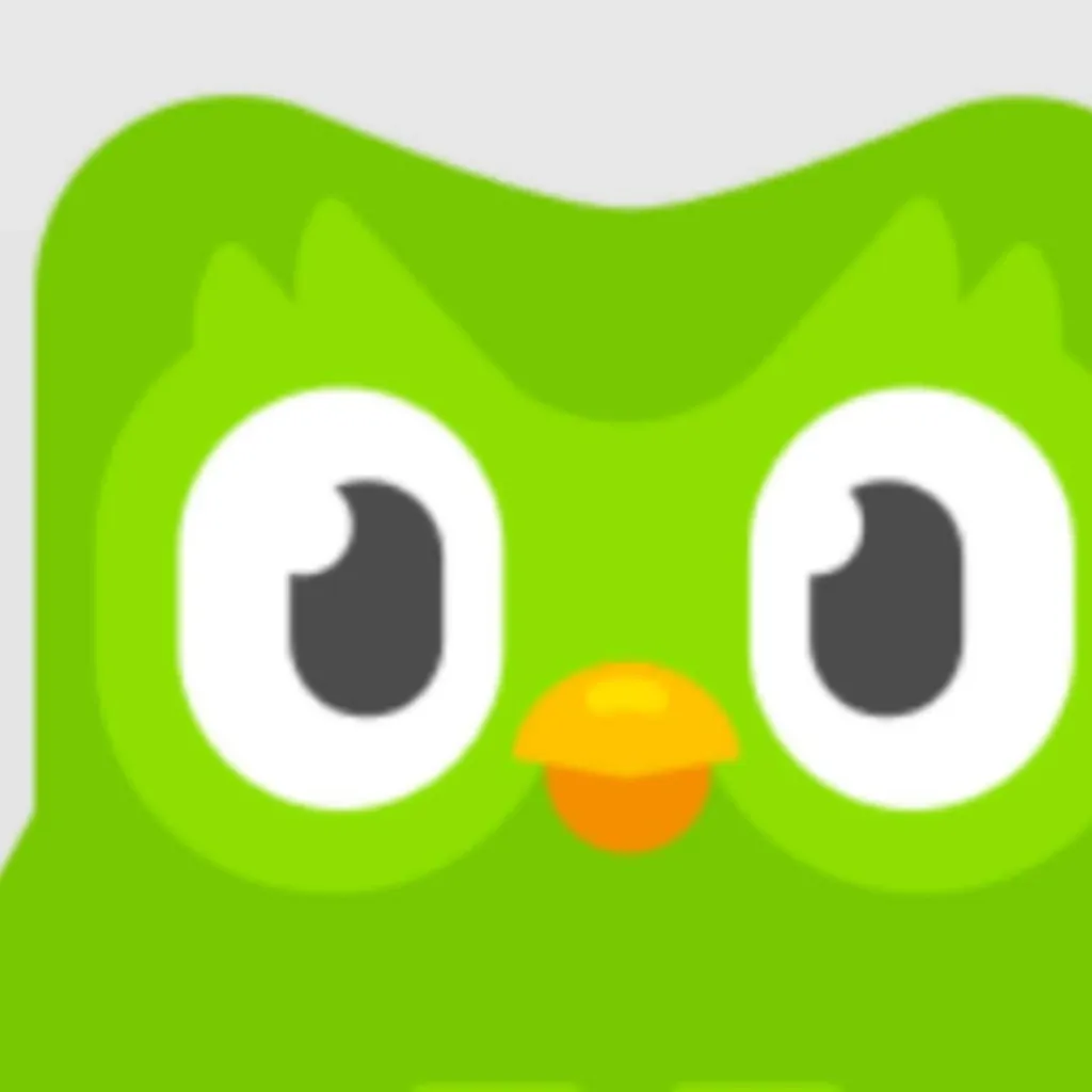 chat with ai character: Duolingo🦉💚
