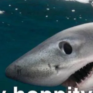 chat with ai character: FPE