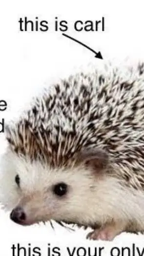 ai character: Zipward background