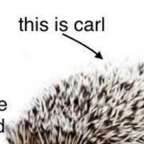 chat with ai character: Zipward