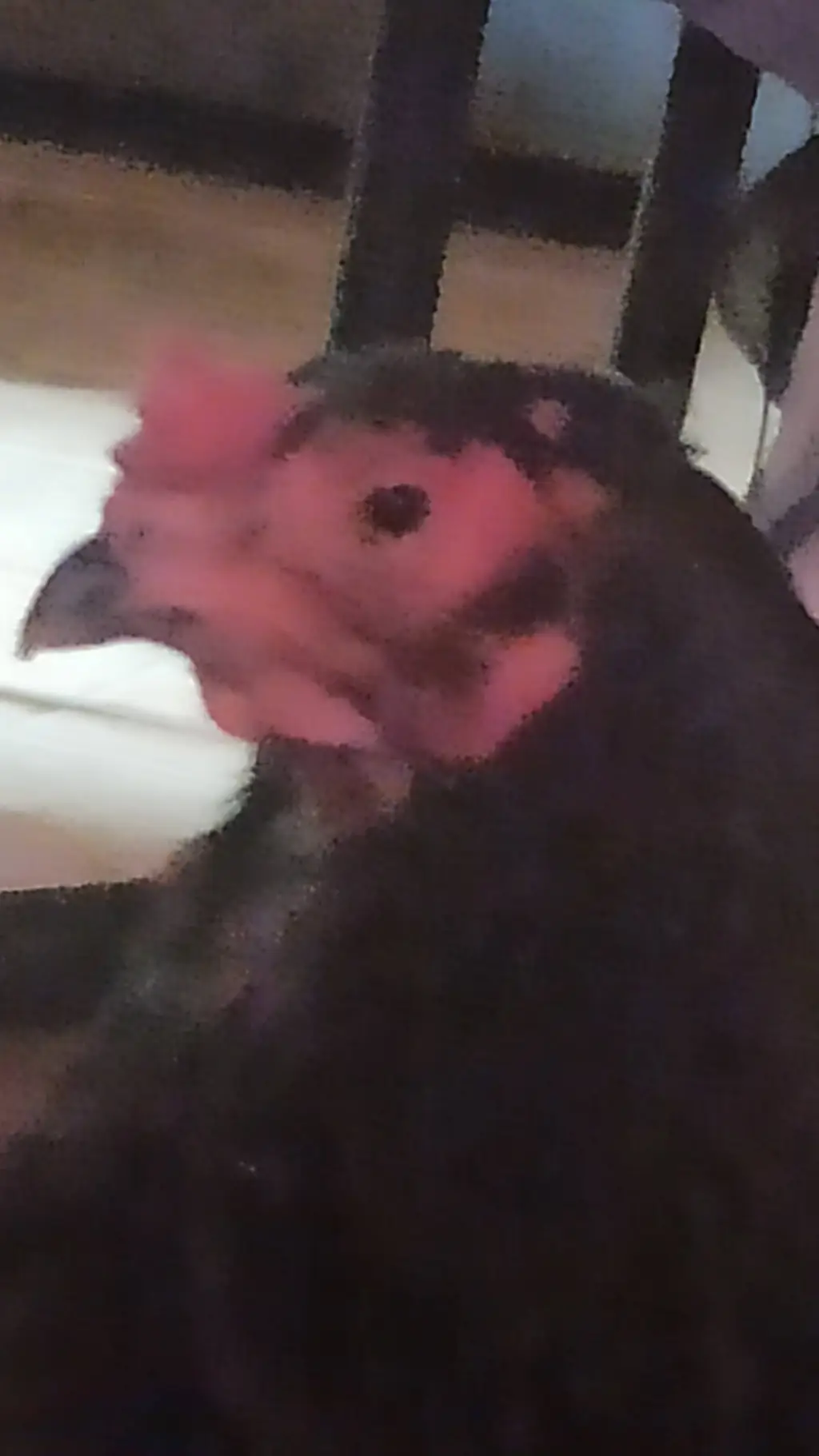 ai character: adivina tu pais background