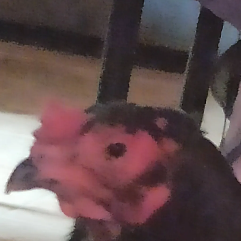 chat with ai character: adivina tu pais