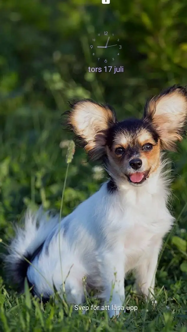 ai character: Finn background