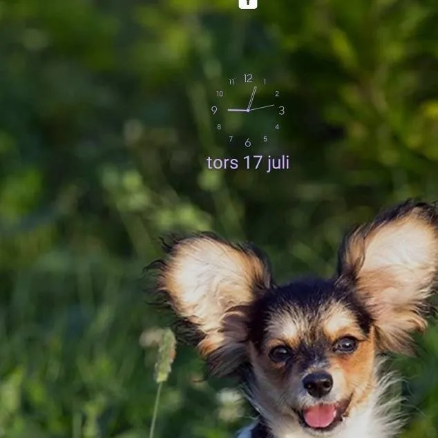 chat with ai character: Finn