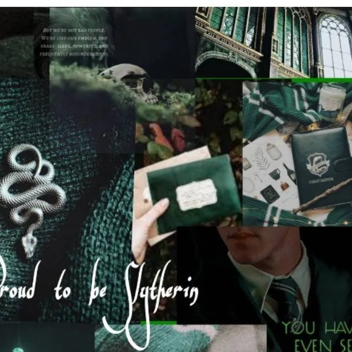 chat with ai character: Slytherin ganggg